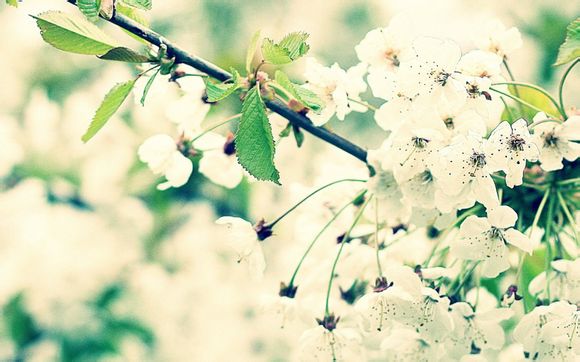 美国为什么没有世界杯冠军