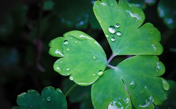 8年奥运会奖牌榜排名