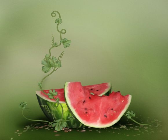 排球队自由人的作用是什么