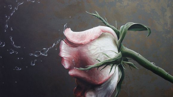 江苏有几个蓝球队