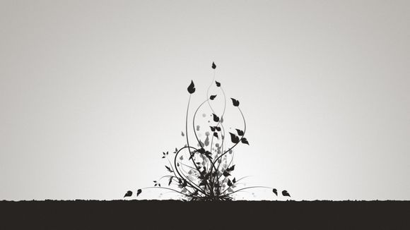 cba球员得分排名分最强球员