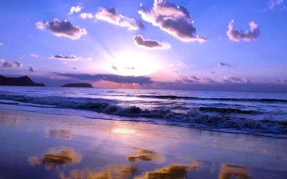 科比球鞋天价多少钱