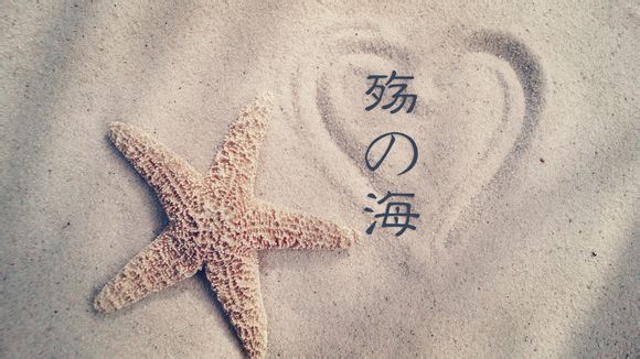 我国乒乓球训练基地