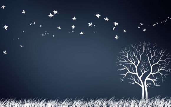 科比一共活了多少岁