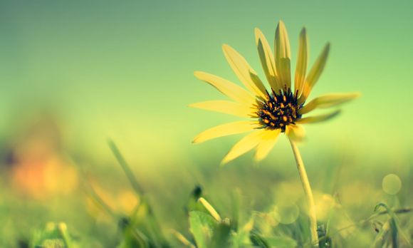 2021中冠联赛球队招募球员