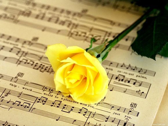 国家运动员证件查询