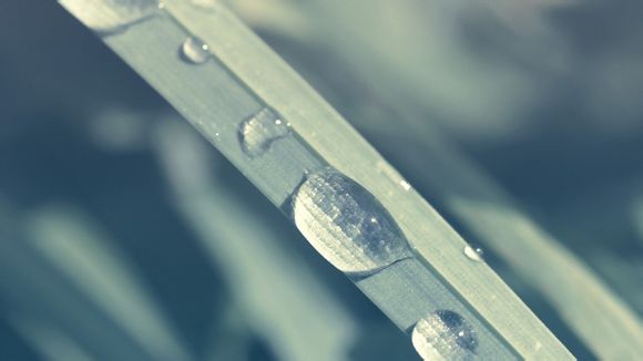 德甲附加赛成绩查询