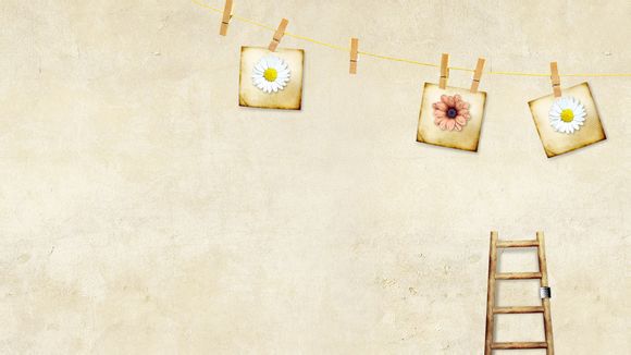 凯尔特人科比门徒