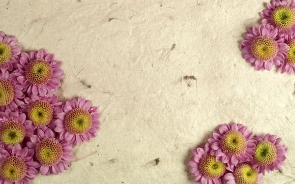 郭艾伦篮球训练营多少钱一个