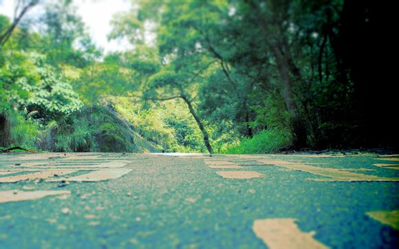 奥运会田径多少个项目啊