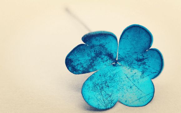 2012年男单乒乓球冠军是谁