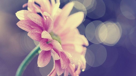 曼城输曼联最大比分是哪一年