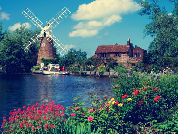 食粪虫是什么动物