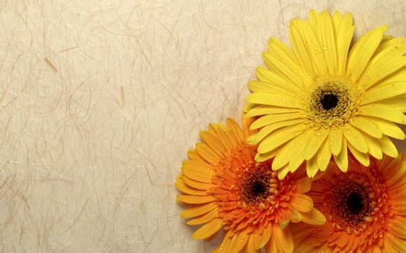 篮球半场休息多久最好