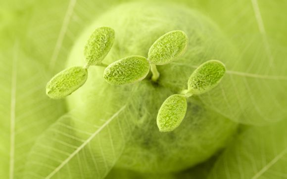 热火vs掘金赛程比分