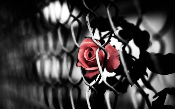 乒乓球的一百种用处