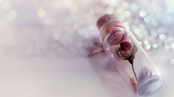 湖人有没有换教练的可能性