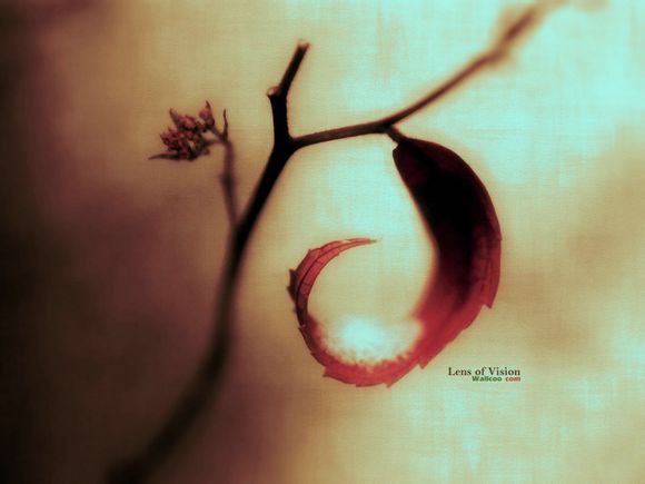 中国乒乓球的大满贯