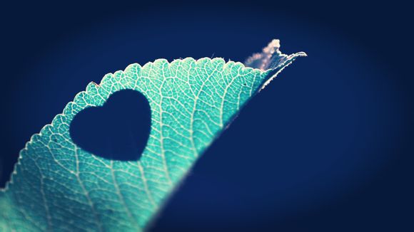 爵士vs火箭数据对比