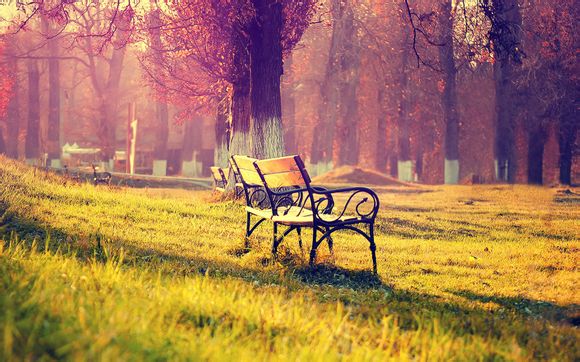 梅西在大巴黎地位如何