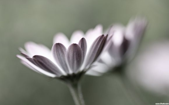 国青队什么水平