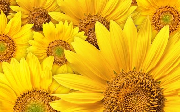 开十张桌的台球厅大约要花多少钱