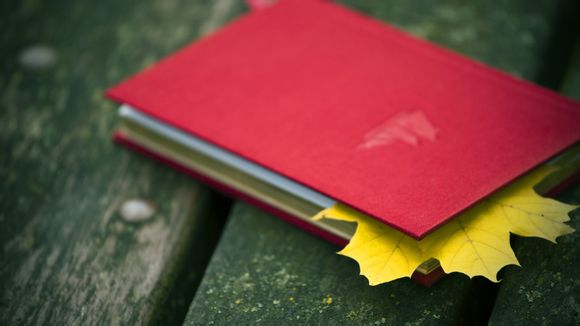 2000年世界杯中国队战绩如何