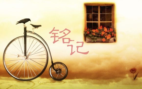 世界女足国家队最新排名榜