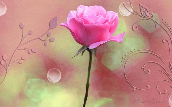 意大利举办过欧洲杯吗