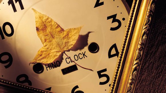 乒乓球技巧有哪些种类